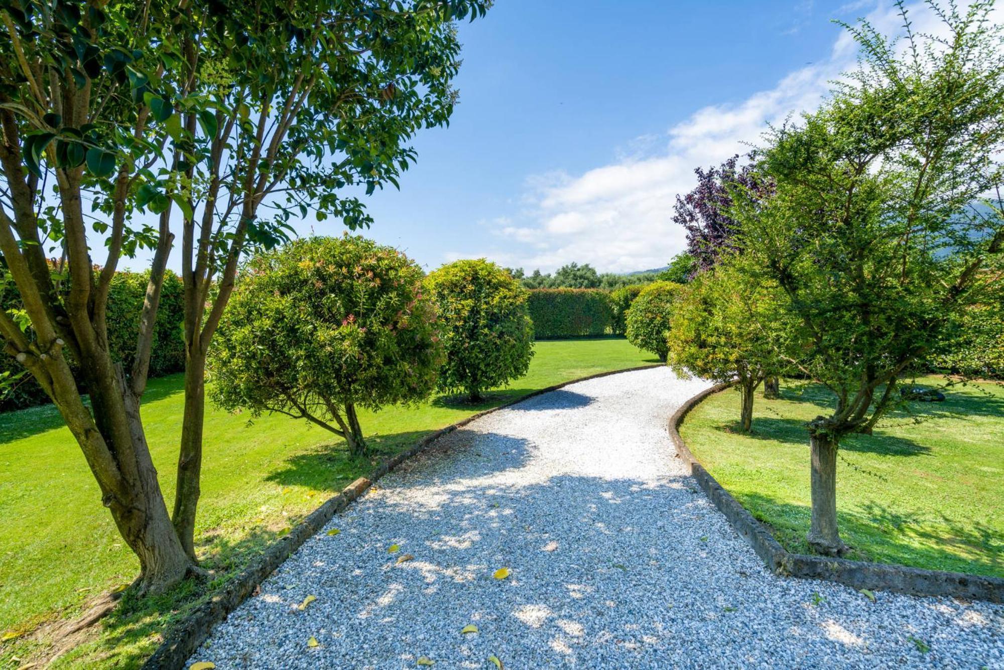 Villa Lorenzo Querceta Dış mekan fotoğraf